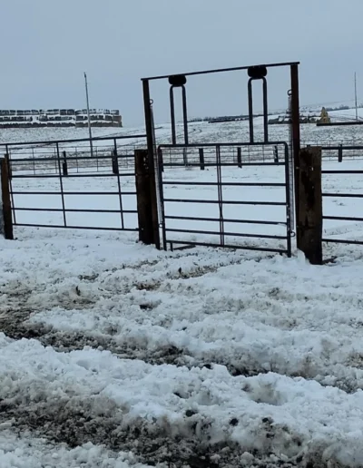 fence gate