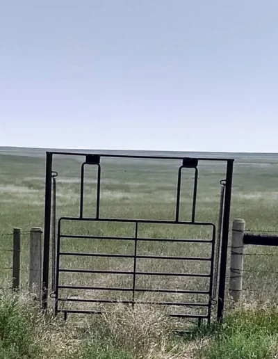 flyer gate